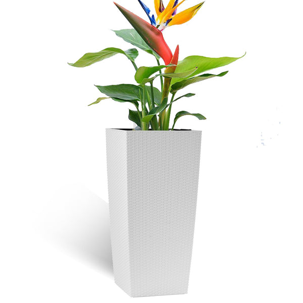 English Elm 30 Inch Tall Faux Rattan Planter Self Watering Outdoor Indoor Patio Garden Pot White W3213P325513