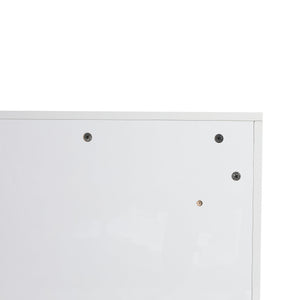 English Elm 24" Freestanding Bathroom Storage Cabinet With Soft-Close Doors, Adjustable Shelves & Glossy Finish W999P312106