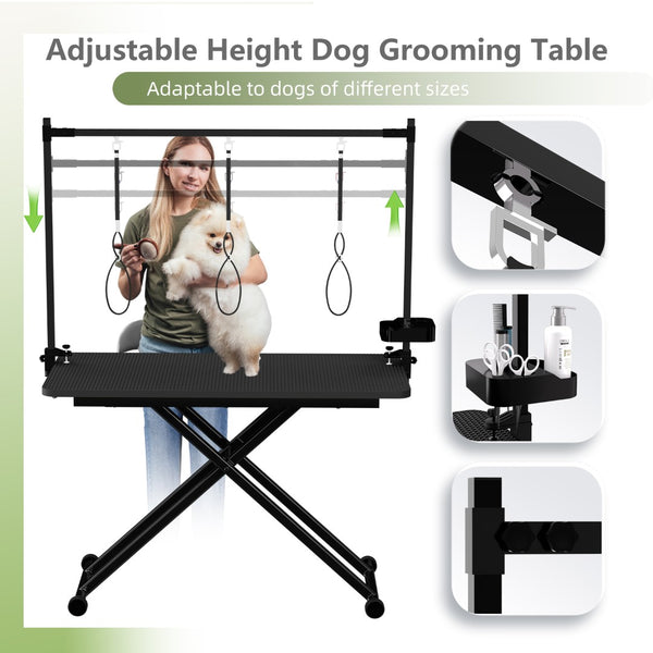 English Elm 47'' Foldable Dog Grooming Table X-lift Adjustable Height Station with Arm Noose Organizer W3587P358750
