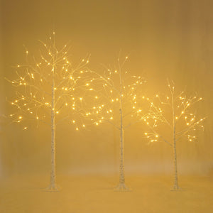 English Elm Set of Lighted Birch Tree with 216 Warm White LEDs, 3-Sizes 4/5/6FT, Indoor/Outdoor Romantic Decor N710P181843Y