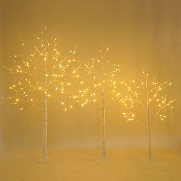 English Elm Set of Lighted Birch Tree with 216 Warm White LEDs, 3-Sizes 4/5/6FT, Indoor/Outdoor Romantic Decor N710P181843Y