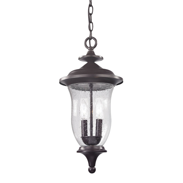 Thomas Lighting Trinity Classic Lantern Outdoor Pendant with Seeded Glass and Bronze Metal Finish 8002EH/75