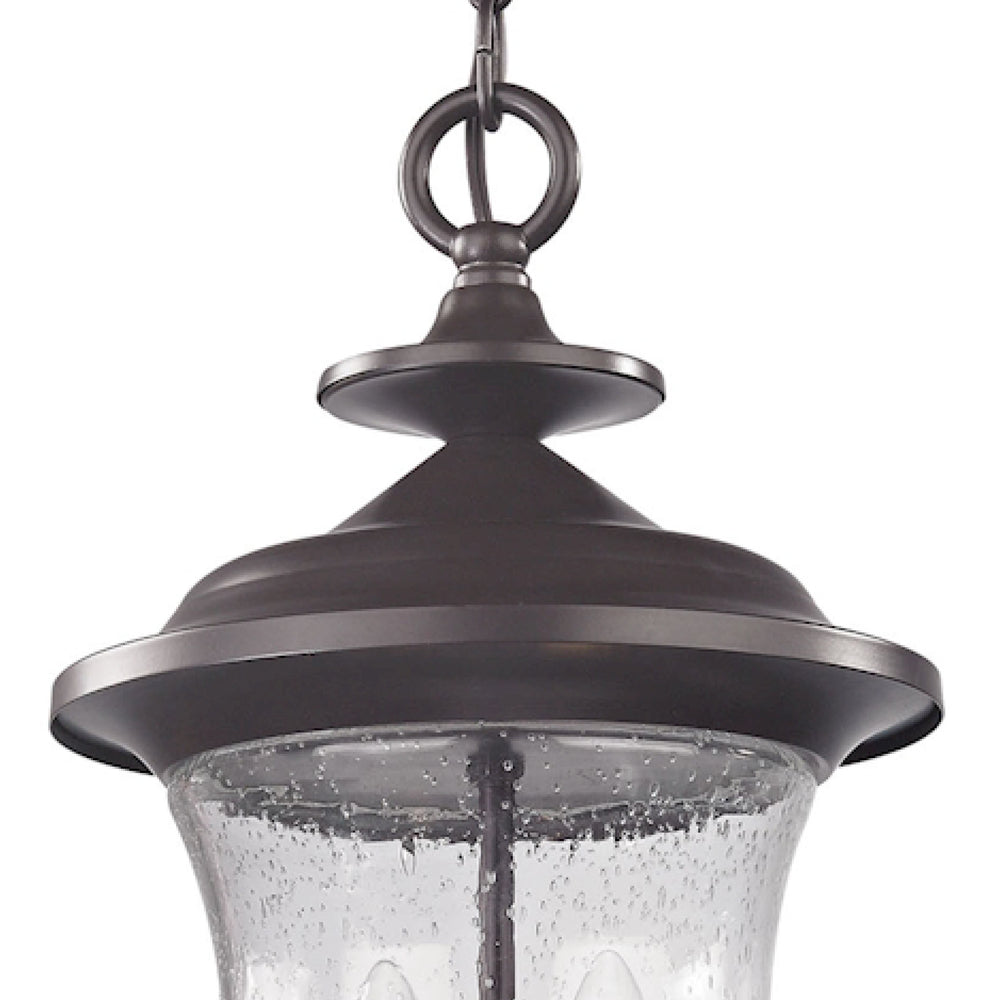 Thomas Lighting Trinity Classic Lantern Outdoor Pendant with Seeded Glass and Bronze Metal Finish 8002EH/75