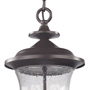 Thomas Lighting Trinity Classic Lantern Outdoor Pendant with Seeded Glass and Bronze Metal Finish 8002EH/75