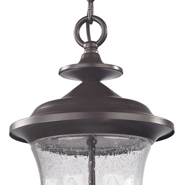 Thomas Lighting Trinity Classic Lantern Outdoor Pendant with Seeded Glass and Bronze Metal Finish 8002EH/75