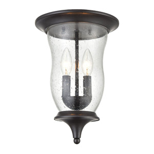 Thomas Lighting Trinity Outdoor Flush Mount Light Seeded Glass Porch Lantern Oil Rubbed Bronze 8002FM/75