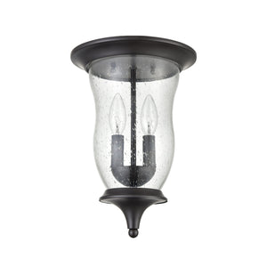 Thomas Lighting Trinity Outdoor Flush Mount Light Seeded Glass Porch Lantern Oil Rubbed Bronze 8002FM/75