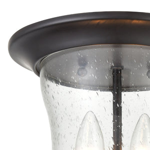 Thomas Lighting Trinity Outdoor Flush Mount Light Seeded Glass Porch Lantern Oil Rubbed Bronze 8002FM/75
