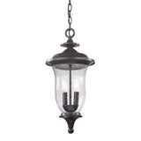 Thomas Trinity 9'' Wide 2-Light Outdoor Pendant