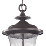 Trinity 9'' Wide 2-Light Outdoor Pendant - Oil Rubbed Bronze 8002EH/75 Thomas