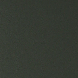 Eurostyle Tibo Stackable Outdoor Side Chair Set Of 2 In Vibrant Green - Perfect For Indoor & Outdoor Use! Green Polypropylene 80074-grn