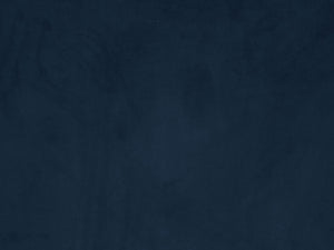 English Elm Ansario Velvet Accent Chair with Button Tufting, Full Foam Seat, Acrylic Legs, Stylish Upholstery Elegance Blue 42 L x 34 W x 26 H B2726P284224