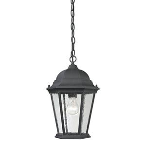 Thomas Lighting Temple Hill Seeded Glass Outdoor Pendant Lantern with Matte Black Metal Frame 8101EH/65