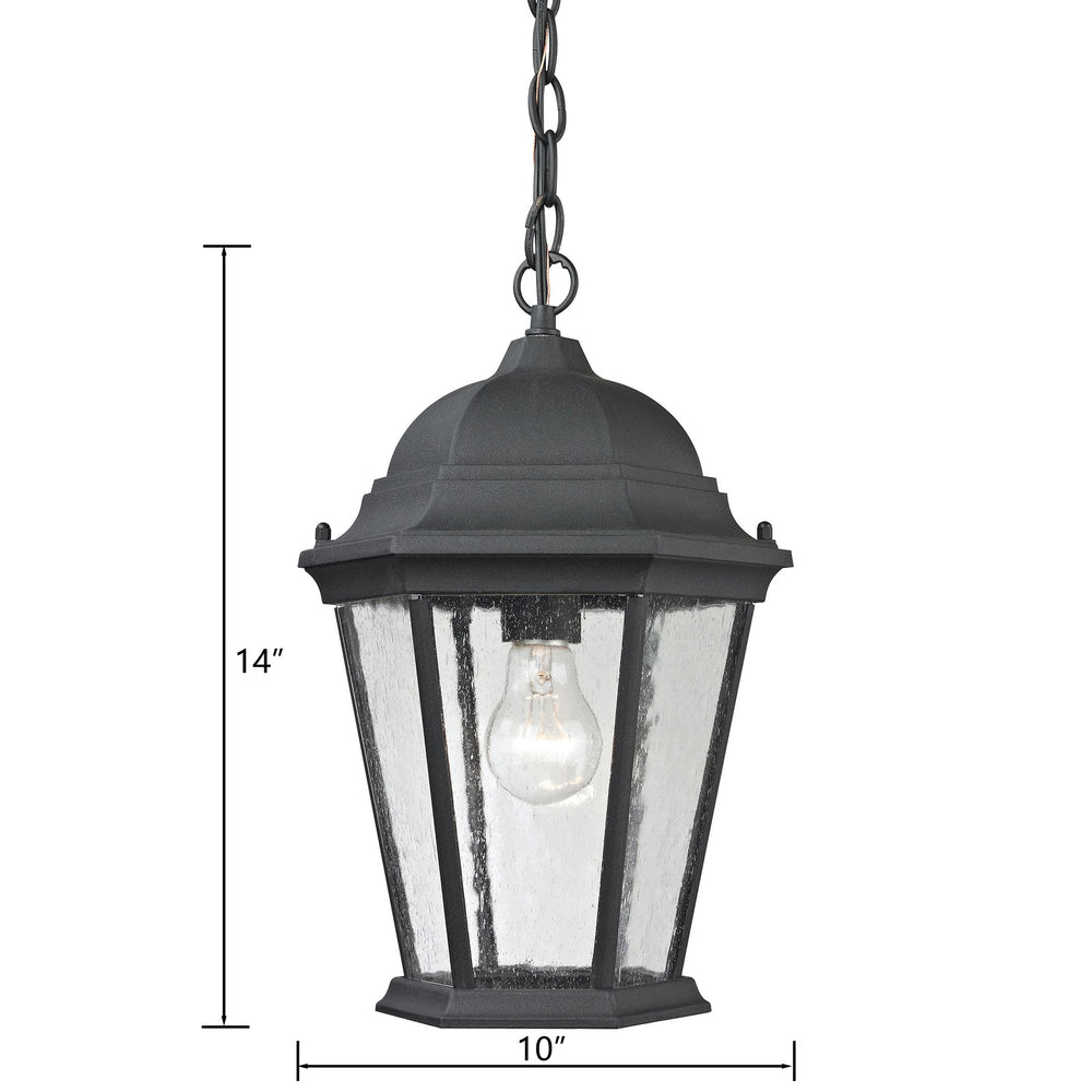 Thomas Lighting Temple Hill Seeded Glass Outdoor Pendant Lantern with Matte Black Metal Frame 8101EH/65