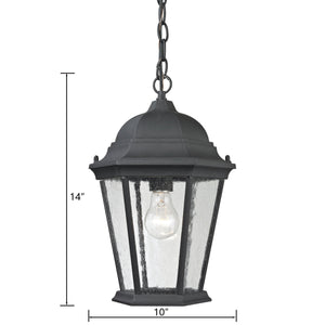 Thomas Lighting Temple Hill Seeded Glass Outdoor Pendant Lantern with Matte Black Metal Frame 8101EH/65