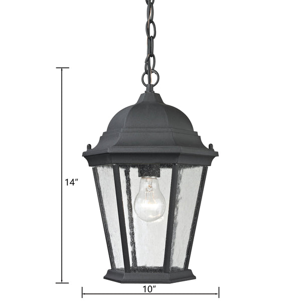 Thomas Lighting Temple Hill Seeded Glass Outdoor Pendant Lantern with Matte Black Metal Frame 8101EH/65