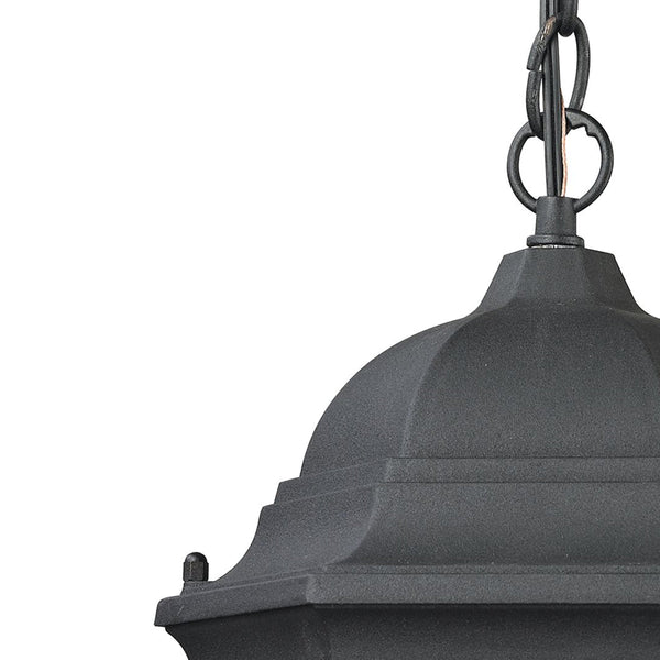 Thomas Lighting Temple Hill Seeded Glass Outdoor Pendant Lantern with Matte Black Metal Frame 8101EH/65