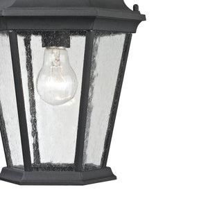 Thomas Lighting Temple Hill Seeded Glass Outdoor Pendant Lantern with Matte Black Metal Frame 8101EH/65