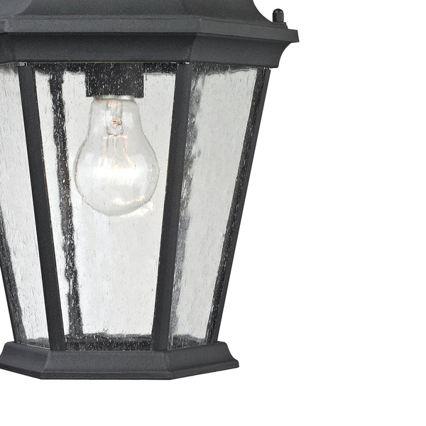 Thomas Lighting Temple Hill Seeded Glass Outdoor Pendant Lantern with Matte Black Metal Frame 8101EH/65