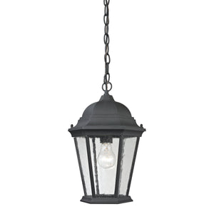 Temple Hill 10'' Wide 1-Light Outdoor Pendant - Matte Textured Black 8101EH/65 Thomas