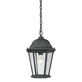 Thomas Temple Hill 10'' Wide 1-Light Outdoor Pendant