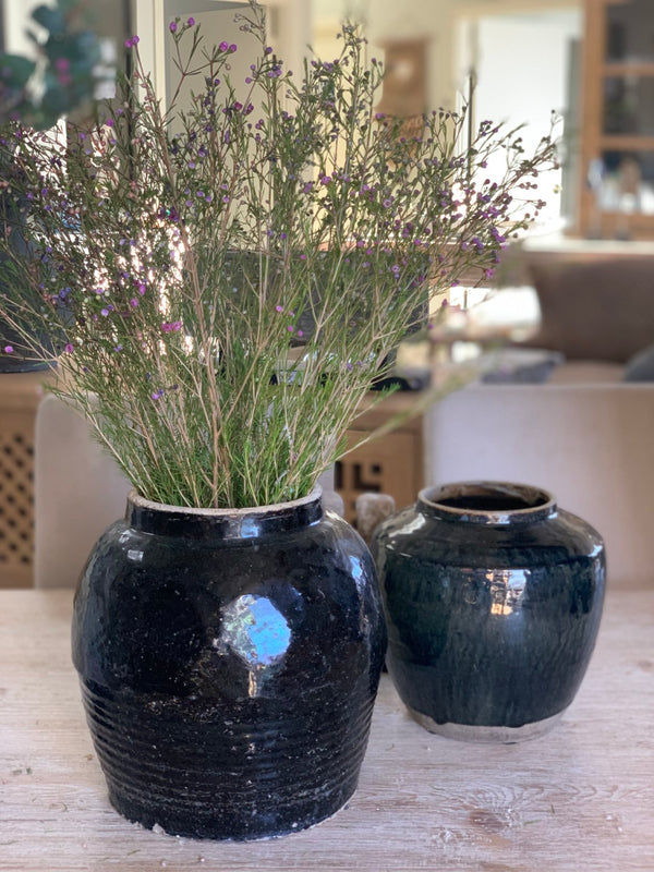 Lilys 7-9 Inches Tall Vintage Oil Pot With Black Glaze Medium (Size Vary) 8119-M
