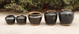 Lilys 7-9 Inches Tall Vintage Oil Pot With Black Glaze Medium (Size Vary) 8119-M