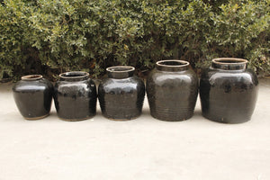 Lilys 10-12 Inchestall Vintage Oil Pot With Black Glaze Large (Size Vary) 8119-L