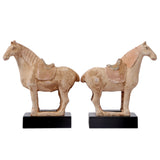 Lilys Pair Of Terra Cotta Horse Black Wooden Base 8129