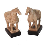 Pair Of Terra Cotta Horse Black Wooden Base