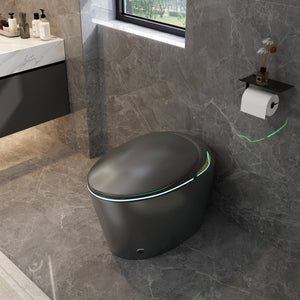 English Elm Unique Smart One Piece Toilet with Bidet Foot Sensor Auto Lid Warm Dryer Night Light W3133P384914