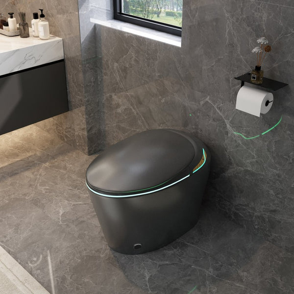 English Elm Unique Smart One Piece Toilet with Bidet Foot Sensor Auto Lid Warm Dryer Night Light W3133P384914