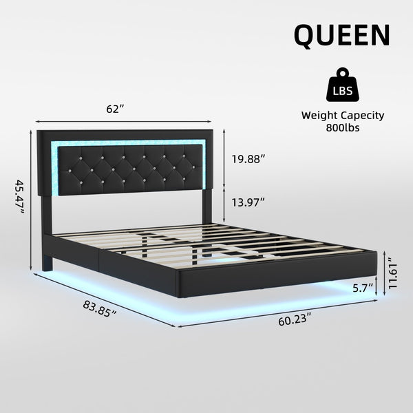 English Elm Queen Platform Bed Pu Leather Tufted Headboard Rgb Led Floating Frame Modern W3107P419201