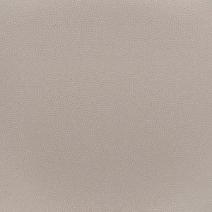 Desi Dining Chair - Set of 2 Beige & Gold 109731 Zuo Modern