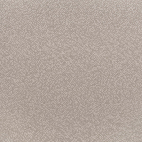 Desi Dining Chair - Set of 2 Beige & Gold 109731 Zuo Modern