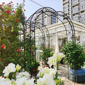 English Elm Metal Gothic Arch Garden Arbor Powder Coated Steel Trellis for Climbing Roses Black W158681100