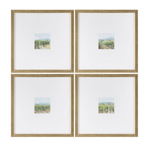 Crestview Collection Vineyards Wall Decor By Crestview - Elegant China Artwork To Enhance Your Home's Aesthetic Appeal   Cvtop3306