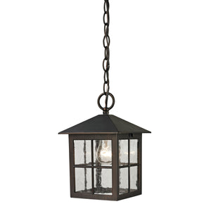 Thomas Lighting Shaker Inspired Outdoor Pendant Light Metal Cage Clear Glass Craftsman Porch Fixture 8201EH/70