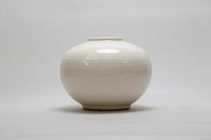 Lilys Creamy White Round Pot 8250-5