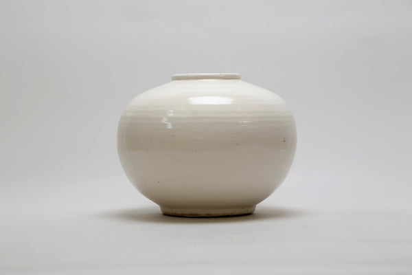 Lilys Creamy White Round Pot 8250-5