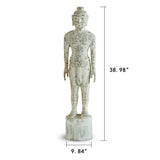 Acupuncture Male Figure Model Antique White Approx. 40