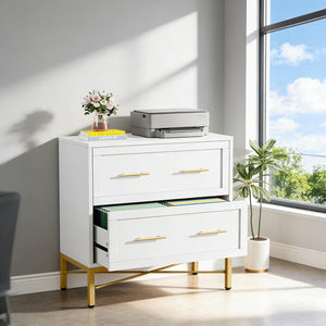 English Elm Multi-functional Nordic Filing Cabinet White Two Drawer Gold Handle Home Office Storage Gold,White T3971P449222