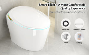 English Elm Unique Smart One Piece Toilet Bidet Heated Seat Auto Flush Warm Air Dryer Spa W3133P384811