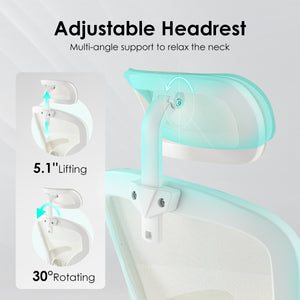 English Elm Ergonomic Office Chair With Adjustable Headrest & Lumbar Support, Breathable Mesh For Comfort & Style T3623P380939