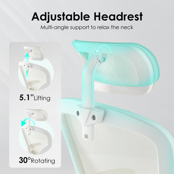 English Elm Ergonomic Office Chair With Adjustable Headrest & Lumbar Support, Breathable Mesh For Comfort & Style T3623P380939