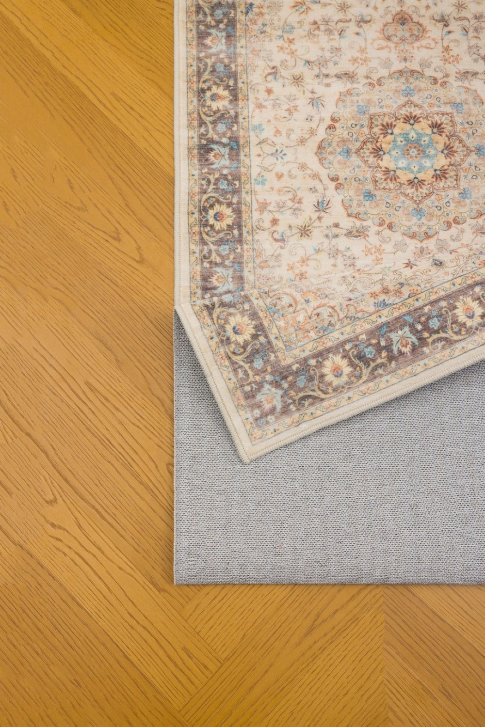 English Elm Premier Traditional Ivory Low Pile Area Rug for Entryways Living Rooms and Dining Spaces B186P479368