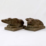 Lilys Pair Of Stone Buffalo Vintage Finish Pre-Order Only 8336