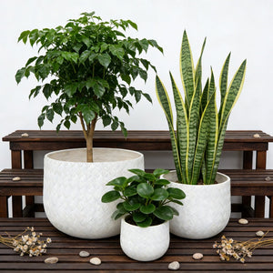 English Elm Assorted Round Magnesium Oxide Planters Woven Texture White Set of 3 with Drainage W5212P434202