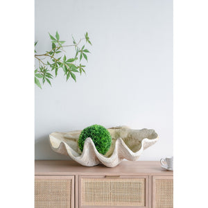English Elm 25.3x16.5x8.5" Oversized Clam Shell Sculpture Glossy Coastal Decor Display Piece W2078P491173