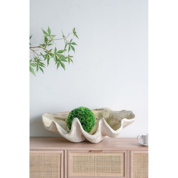 English Elm 25.3x16.5x8.5" Oversized Clam Shell Sculpture Glossy Coastal Decor Display Piece W2078P491173